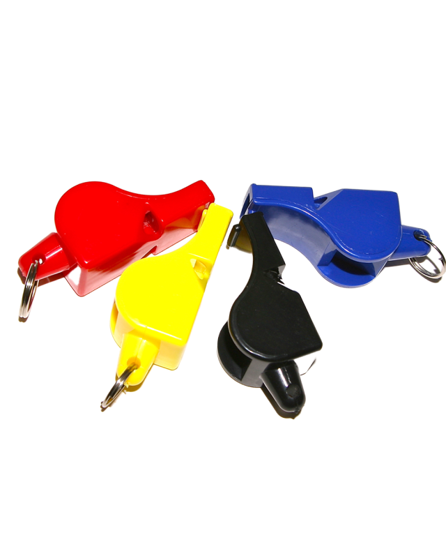 WHALE WHISTLE